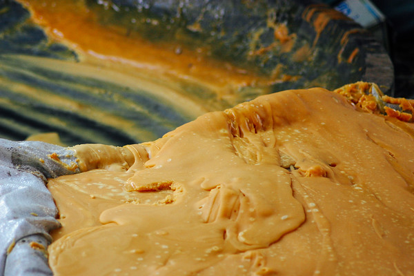 Gud production, Sugarcane, Jaggery, Uttaranchal, India