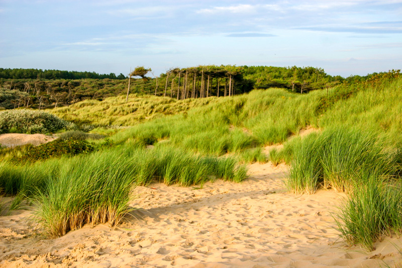 Formby, Sefton Coast, England