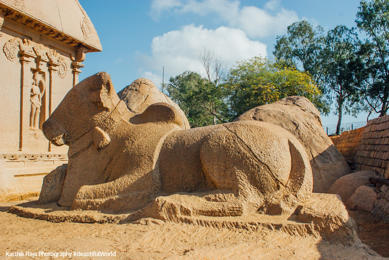 Nandi, Pancha Rathas, Mahabalipuram, Tamil Nadu, India