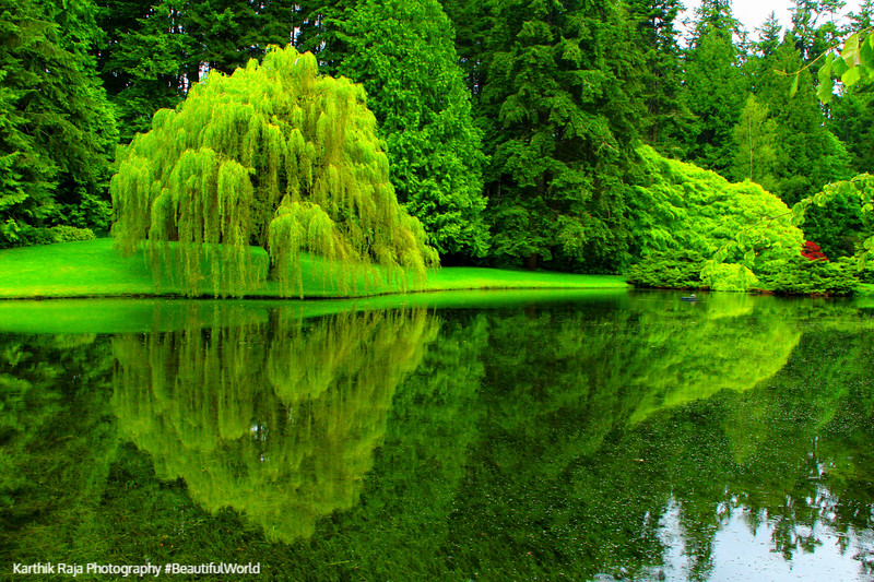 Bloedel Reserve, Bainbridge Island, Washington