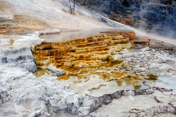 Mammoth Hot Springs - Yellowstone National Park