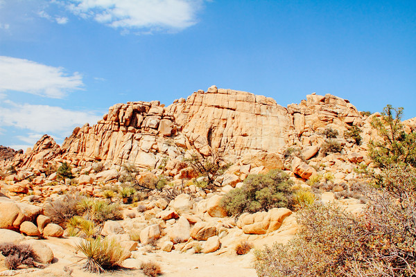 Great Burrito, Hidden Valley Nature Walk, Joshua Tree National P