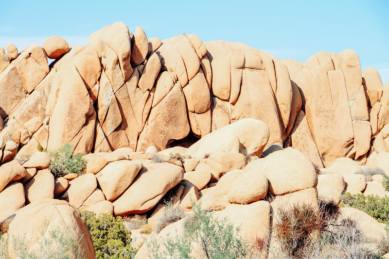 Jumbo Rocks, Joshua Tree National Park, California