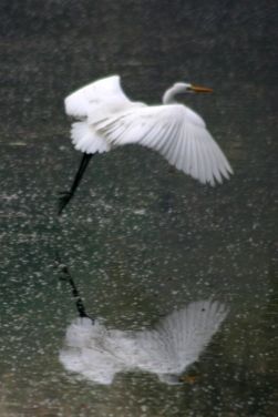 54965204-xinxjjcw-54965204-img_8321copy