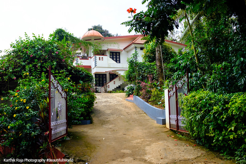 Kavery Estate, Kodagu District, Karnataka, India