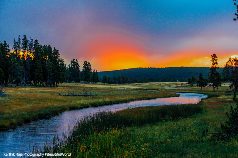 Madison river, Sunrise - Yellowstone National Park