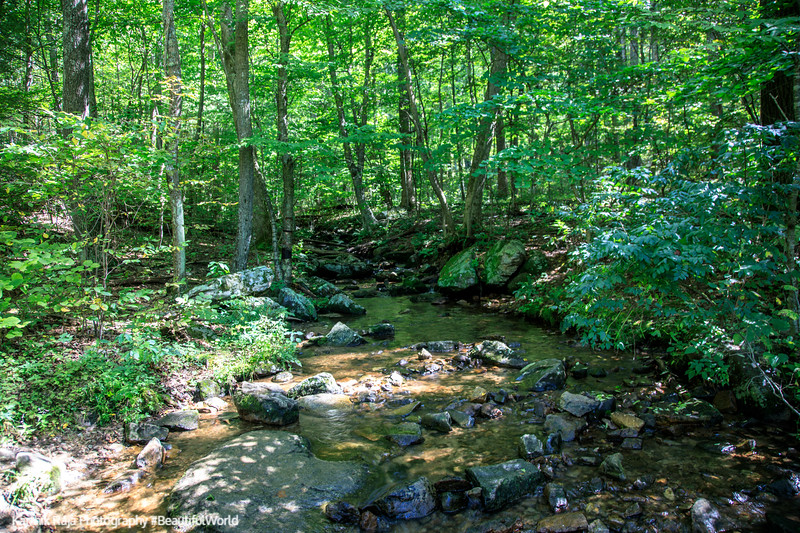 Lands Run Creek, Trail, Shenandoah National Park, Virginia