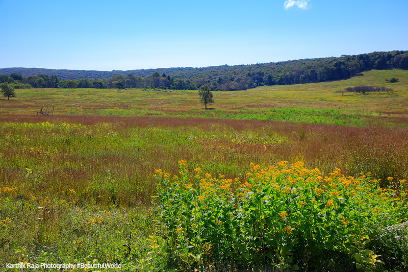 Big Meadows, Shenandoah National Park, Virginia