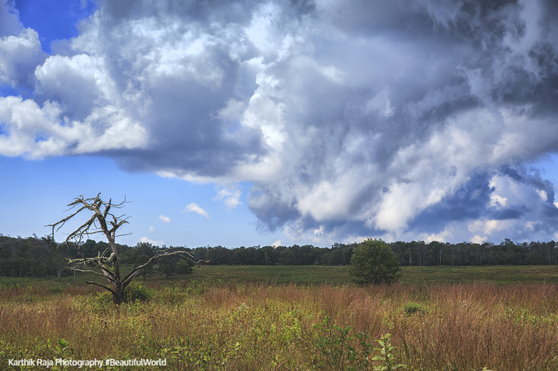 Big Meadows, Shenandoah National Park, Virginia