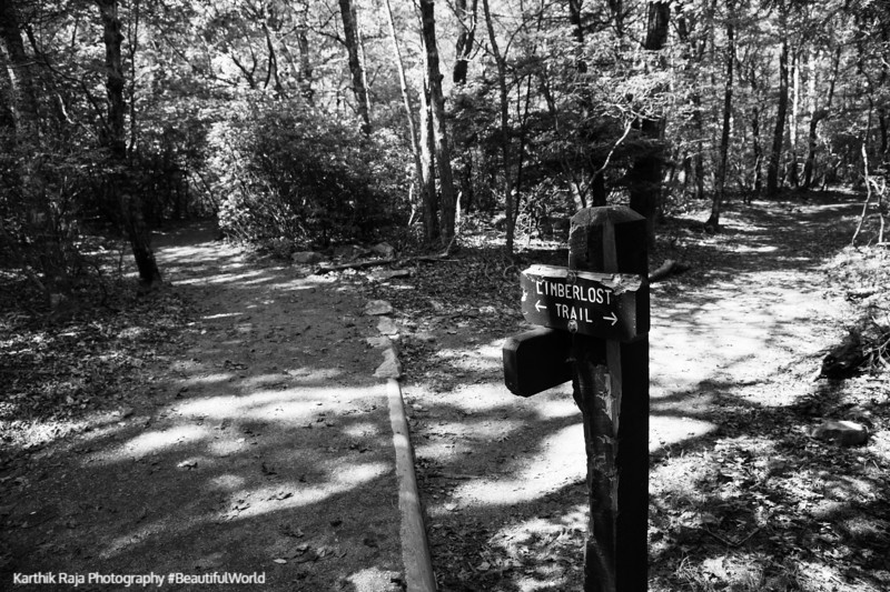 Limberlost Trail, Shenandoah National Park, Virginia
