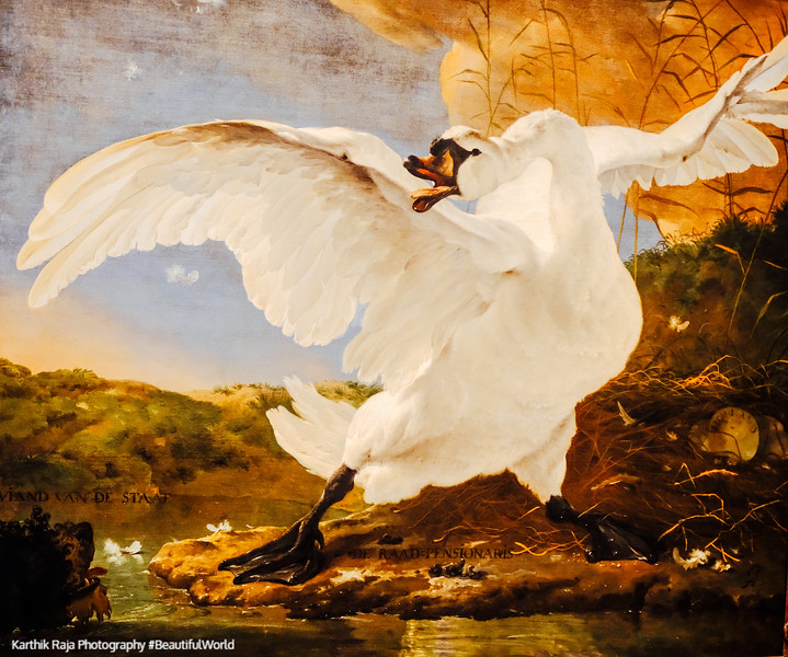 The Threatened Swan, Jan Asselijn, c. 1650, Rijksmuseum, Amsterd